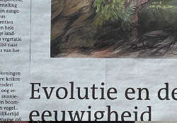 Leeuwarder Courant, Evolutie en de eeuwigheid, door Susan van den Berg, 2022