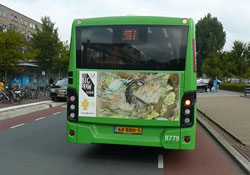 The Big Draw, promotie op stadsbus 2014